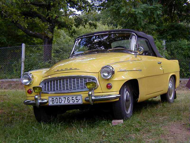 P1010284.jpg